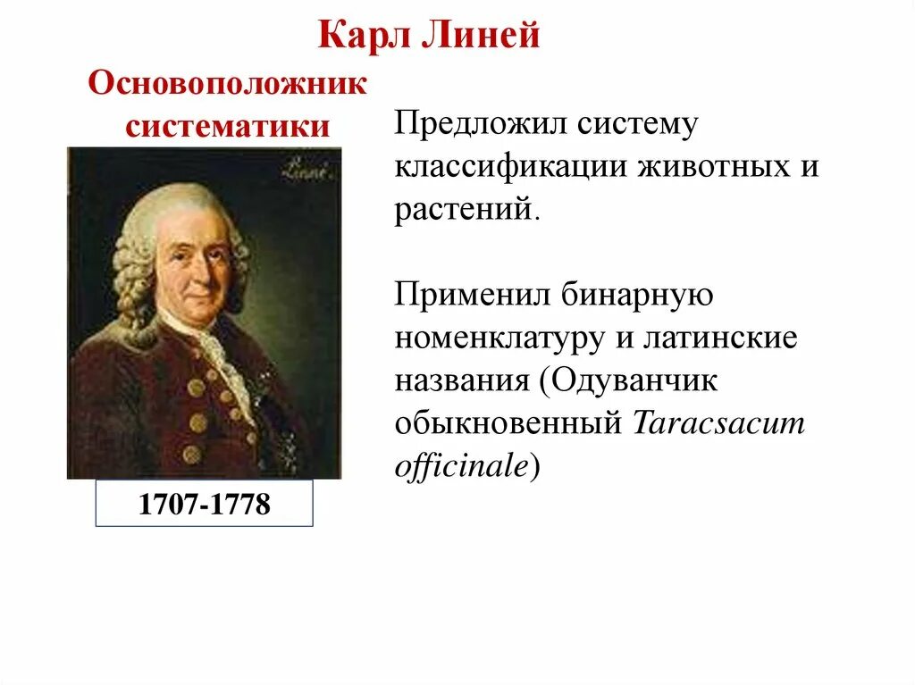 Линней классификация животных