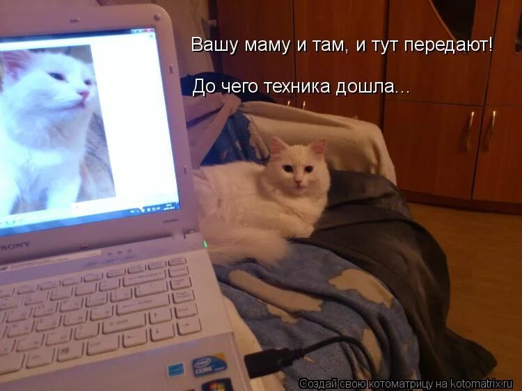 Простоквашино вашу маму и там и тут. До чего техника дошла вашу маму. вашу маму и там и тут передают до чего техника дошла. до чего техника дошла. до чего технологии дошли.