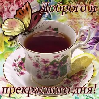 Самого доброго и замечательного утра дня картинки