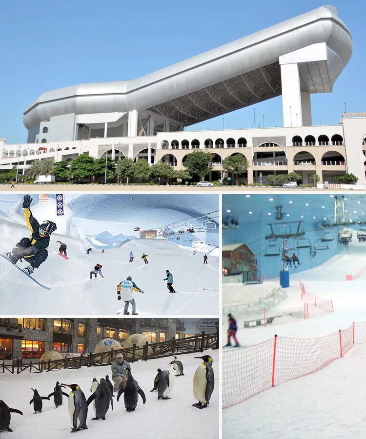 Дубай горнолыжный. Ski Dubai Дубай. Горнолыжный комплекс ски Дубай. Дубай снежный комплекс. Mall of the Emirates Ski Dubai.
