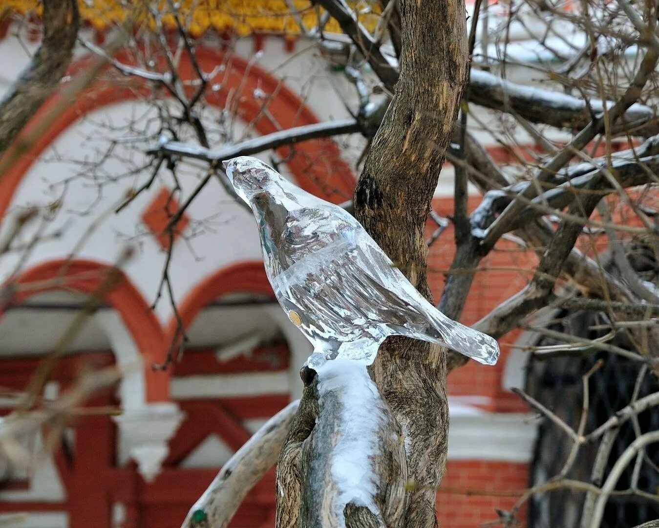 Cold bird. Замерзшие птицы. Замерзшая птичка. Птицы обледенели. Дом снежной птицы.