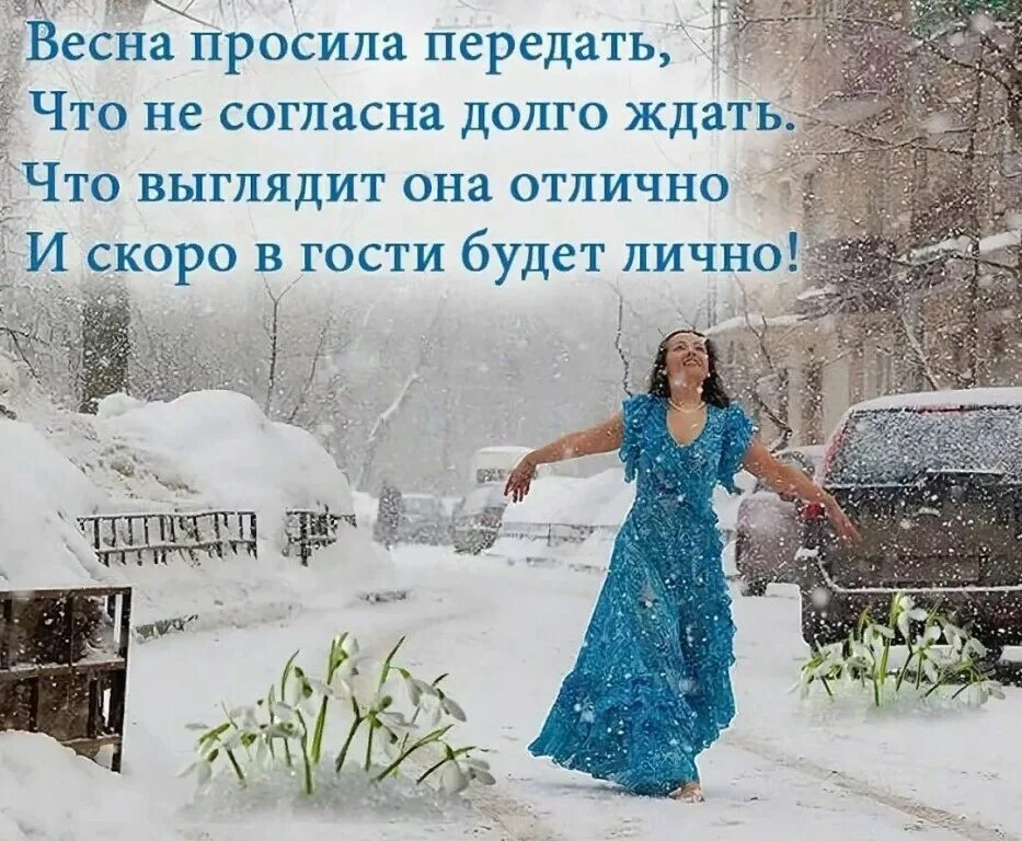 Весенние открытки. Скоро февраль. Кот ждет весну. Наступил февраль жду тебя. С последним месяцем зимы.