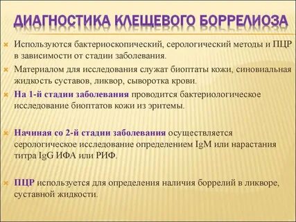 Боррелиоз диагностика