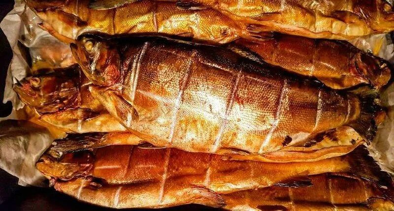 копченая рыба курам. копчение мяса и рыбы. копченая рыба курам. коптильня для курицы. копченая рыба курам.