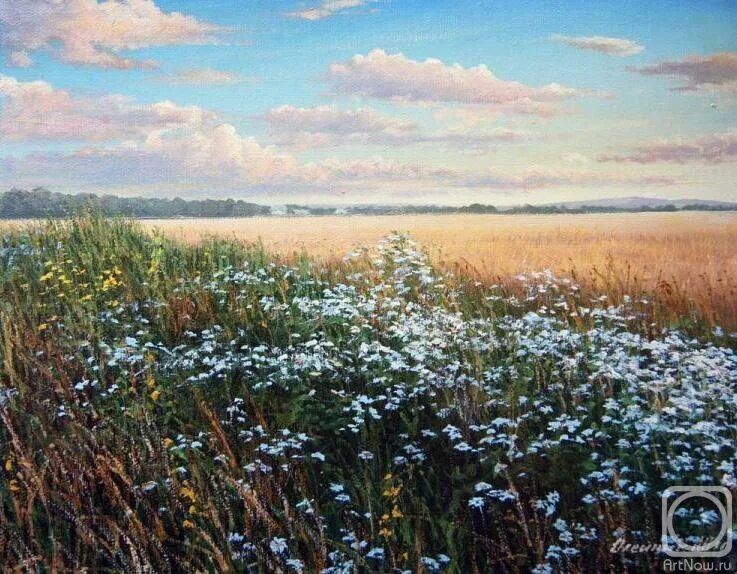 Стихотворение поле зыблется цветами. Цветущий луг йеллоустоун. Разнотравье урала. Поле цветов. Разнотравье донской степи.