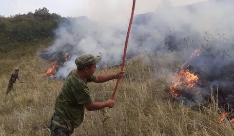 Видео как тушат