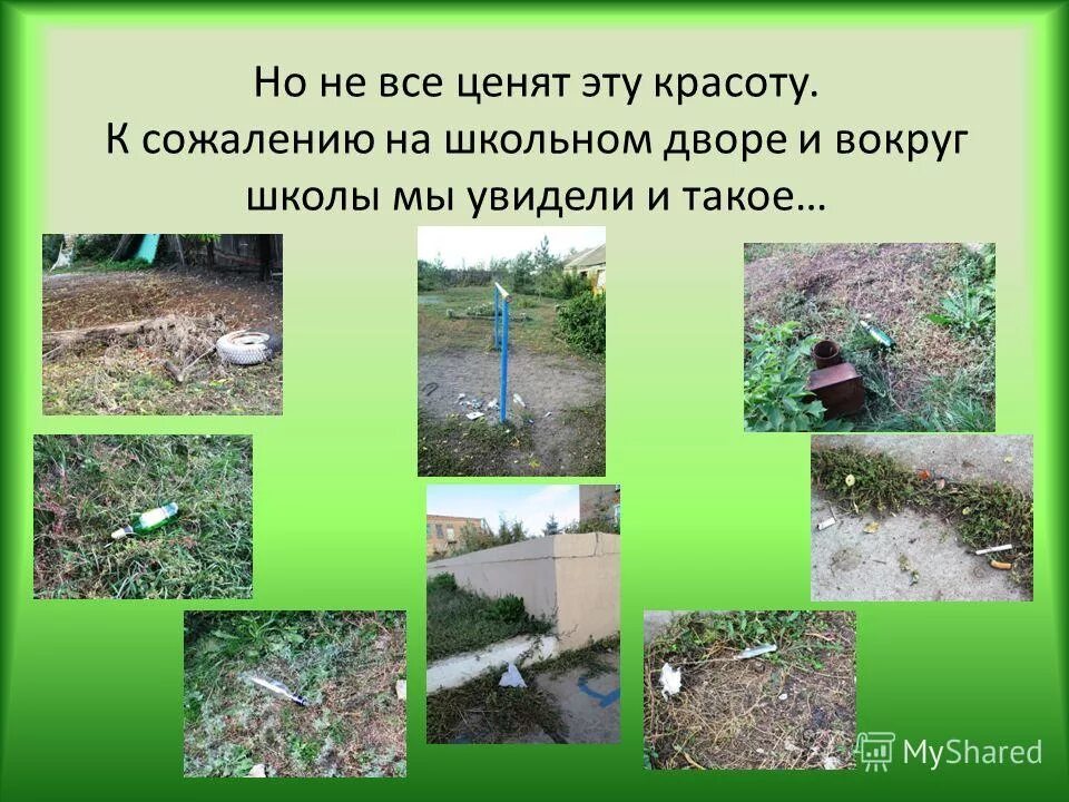 Презентация на тему берегите природу. Береги природу презентация. презентация бережем природу. презентация на тему береги природу. выступление на тему берегите природу презентация.