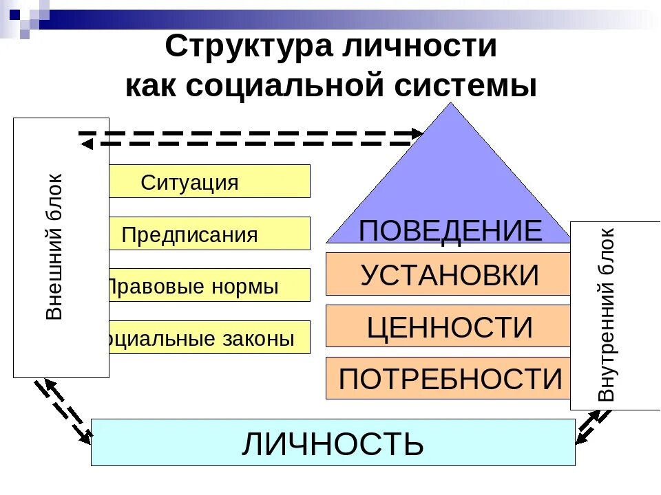 Элементы социальной структуры личности. Строение личности. Подсистемы личности. Личность структура личности. К компонентам социальной структуры общества относятся