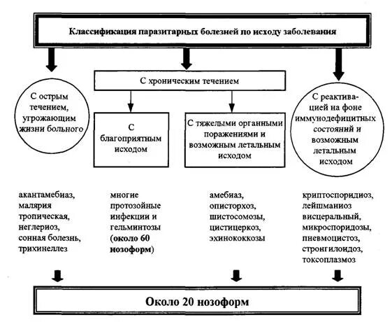 Основные паразитарные заболевания. Паразитарные болезни классификация паразитарных болезней. Классификация болезней человека инвазионная. Схема лечения паразитарных инфекций. Классификация инфекционных и паразитарных болезней.