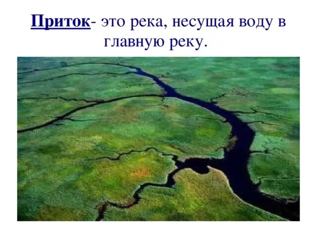 Приток реки это. Река впадает. Притоки реки реки это. Притоки реки картинка