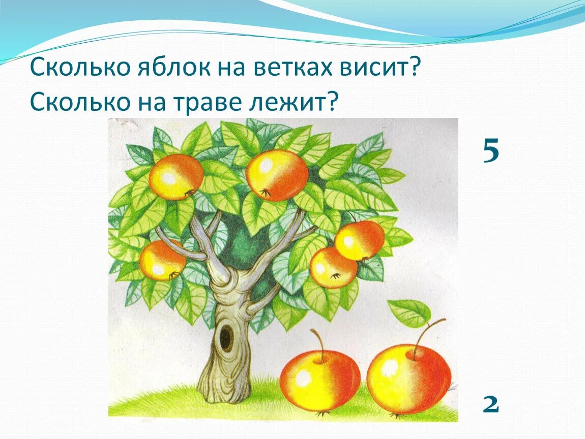 Цифра 4 недалеко от дома росло дерево. Презентация о яблоках для дошкольников. Яблоня с заданиями по математике для дошкольников. Яблоня с золотыми яблоками. Математическая яблоня для дошкольников.