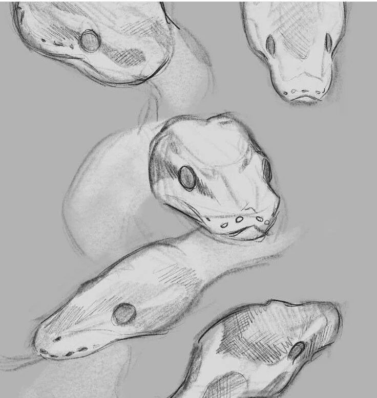 змеи референсы. стилизованная змея. змея туториал. кобра 3dm. змея рисунок.