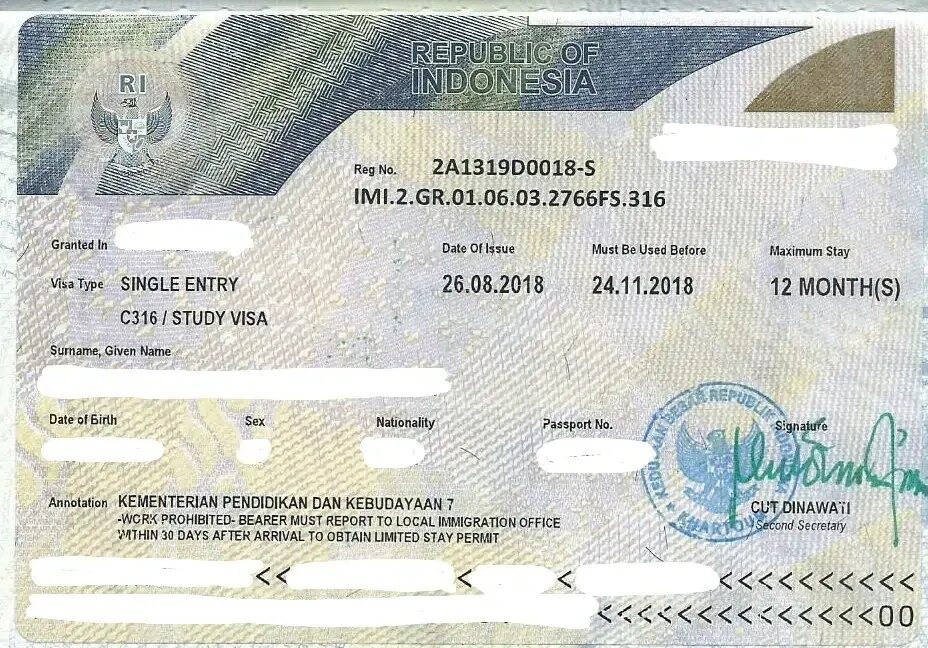 Visa stay. Виза в Индонезию. Вид на жительство Индонезия. Фото на визу Индонезия. Бизнес виза в Индонезию.