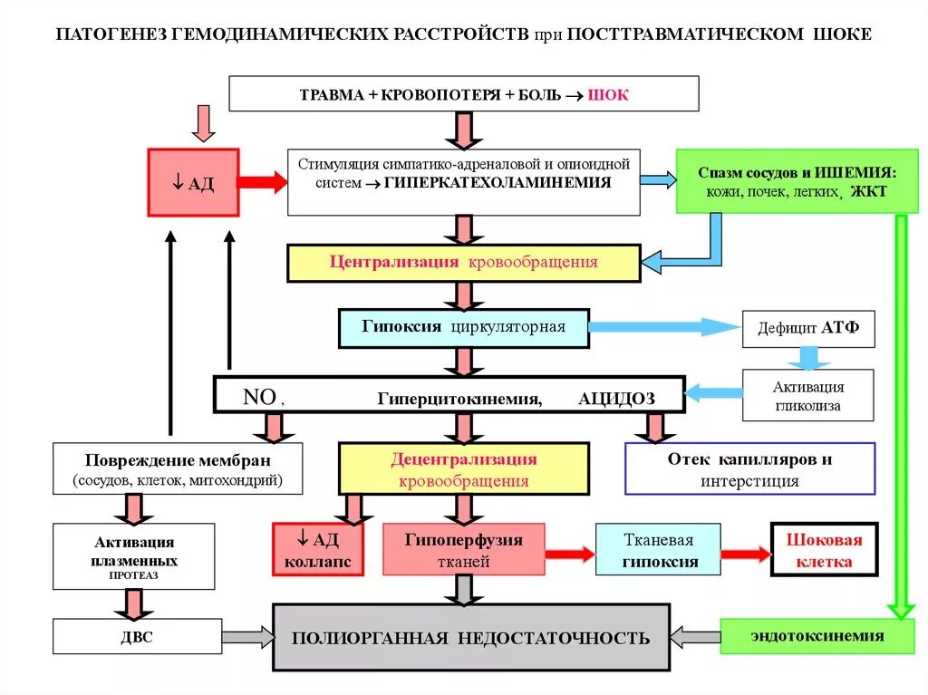 Патогенез повреждения. Патогенез травматического шока. Патогенез травматического шока патофизиология. Патогенез шока патофизиология схема. Механизм развития шока патофизиология.