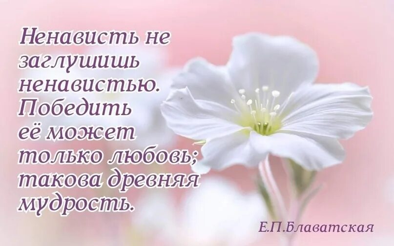 В моей душе нет. В моей душе нет места злу. в моей душе нет места злу картинки. в моей душе нет места злу все занято людьми которых. доброе утро человеку который занимает особенное место в моем сердце.