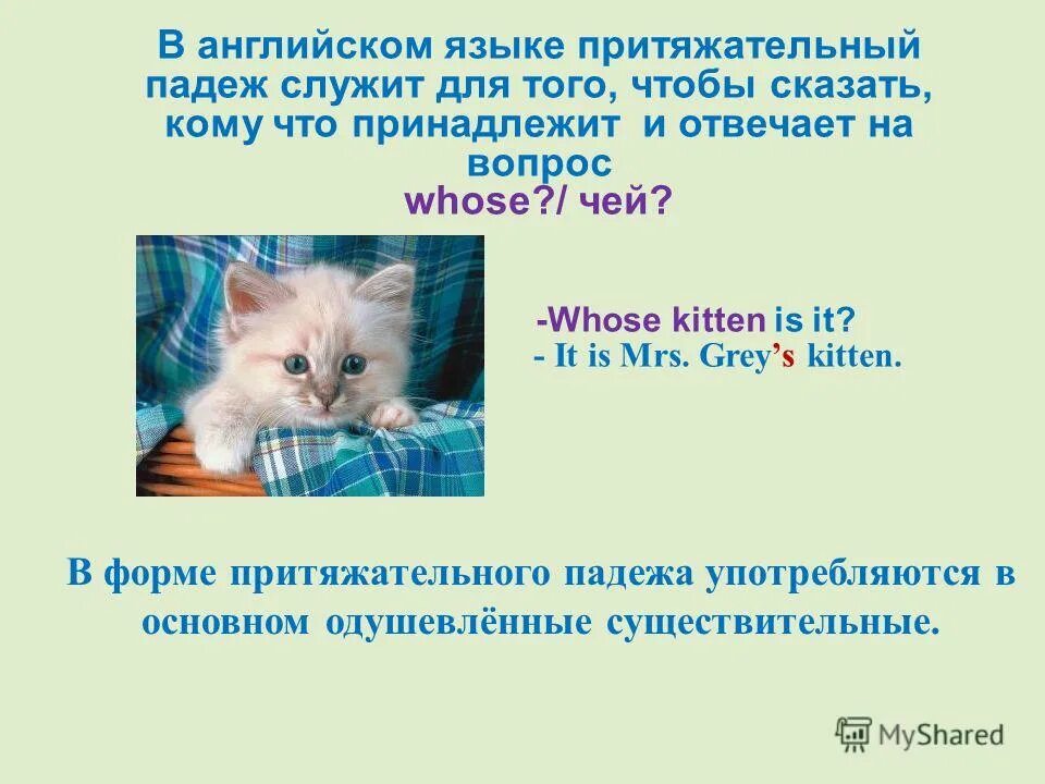 На какой вопрос отвечает притяжательное. Притяжательный падеж англ. Притяжательный падеж существительных. Притяжательное существительное в английском языке. Притяжательный падеж в английском языке правило.