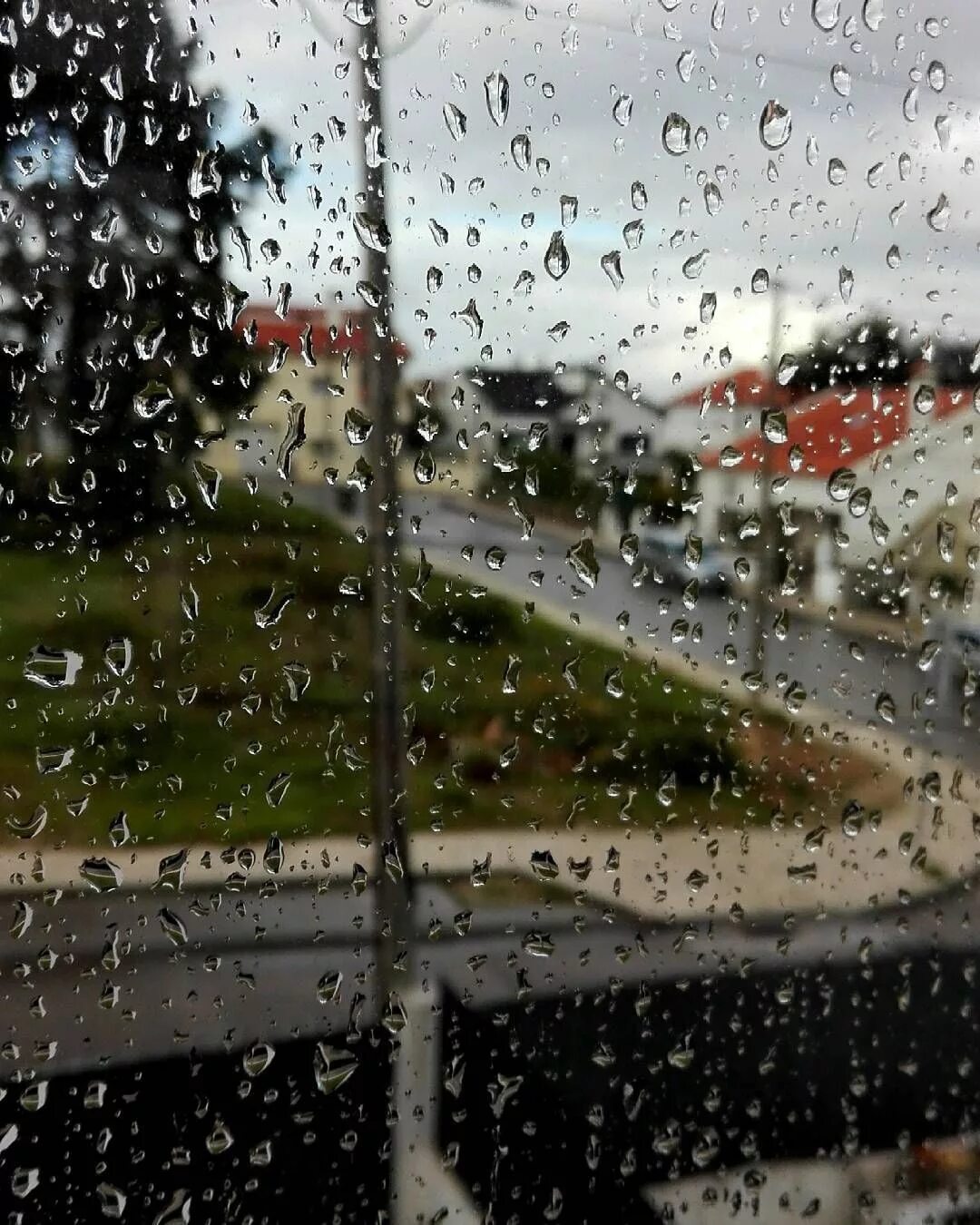 Поставь дождливый день. Дождь за окном. Пасмурный дождливый день. Ливень. Дождливое лето.