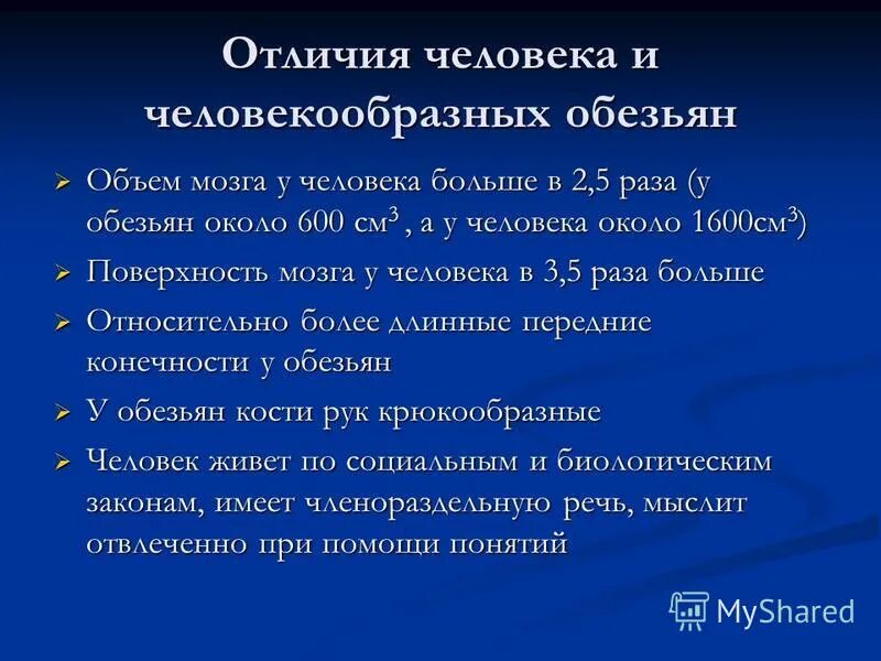 Различие между человеком и человекообразной обезьяной