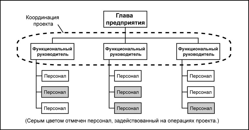 Базовые функции менеджера проекта pmi. Схема функциональной структуры предприти. Должностная структура организации. Functional Management. Схема организации руководства проекта.