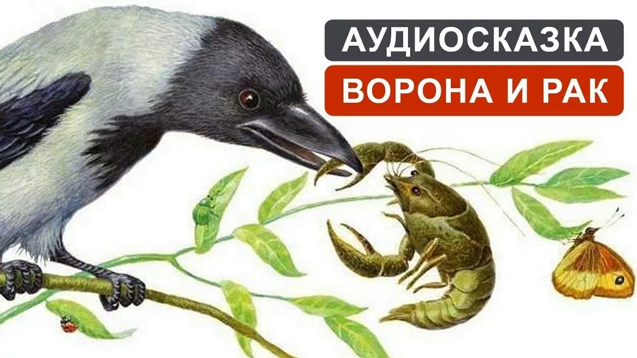 Д. Сказка про ворону. "ворона и рак". Ворон в сказках. Ушинский к.