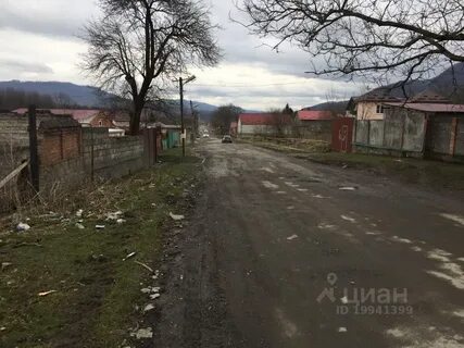 Редант