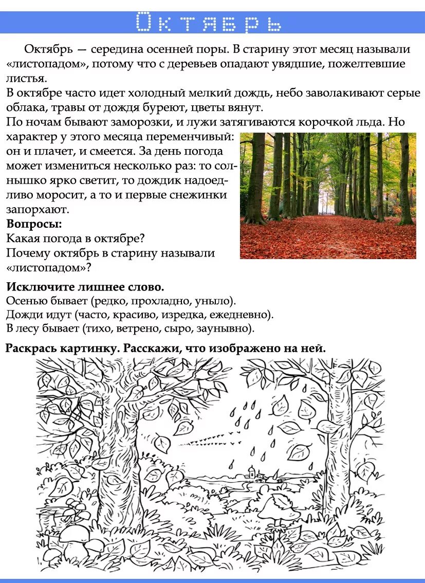 Октябрь какой почему
