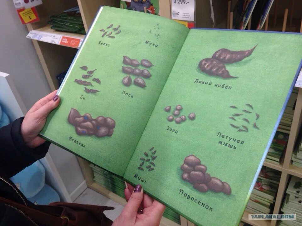 Книжка с какашкой. Книжка про какашку. Японская книга про какашку. Книга про какашки животных. Книга какашек