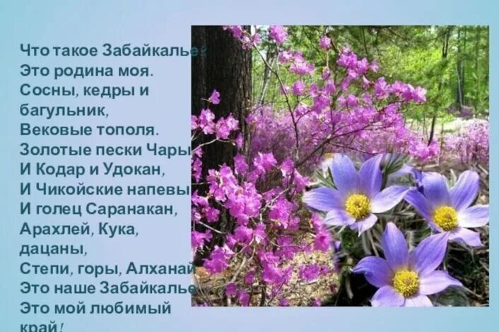 Проект в 4 классе забайкальский говорок Забайкальский говор блог Санатории Кавказа