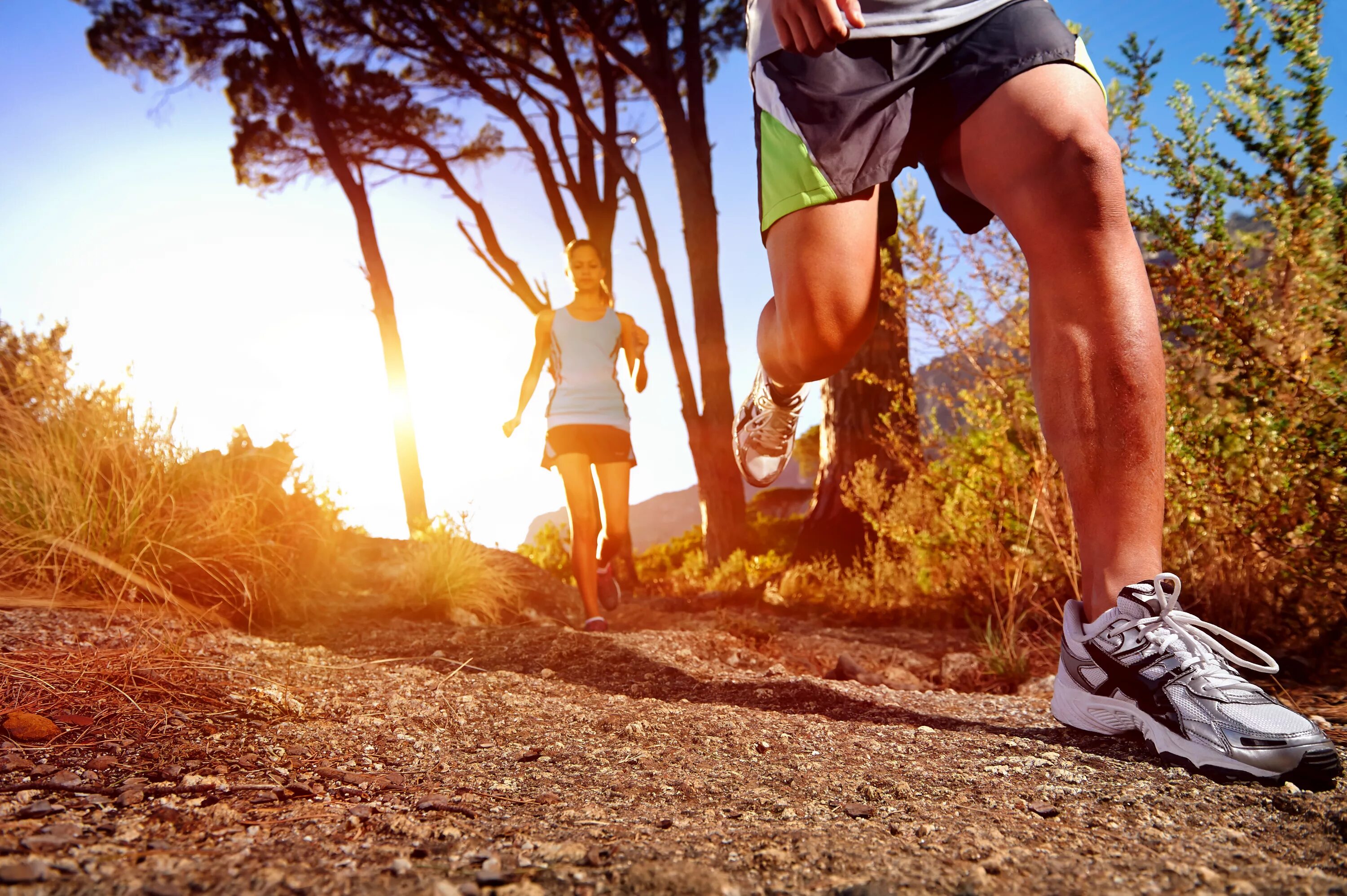 Sport environment