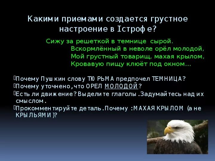 Сижу я в темнице орел молодой. Орёл молодой стих. Вскормленный вне воли Орел молодой. Сижу за решёткой в темнице сырой вскормлённый на воле Орел молодой. Вскормлённый в неволе орёл.