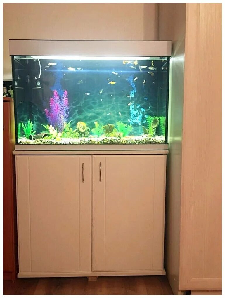 аквариум 140 литров. растения в аквариуме 140 литров. аквариум 140 литров. аквариум 100 литров. 140 литров.