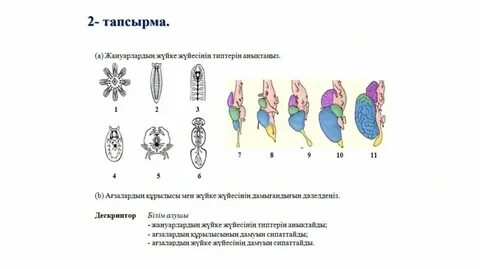 Орыс сексуалды жетілген әйел порно онлайн