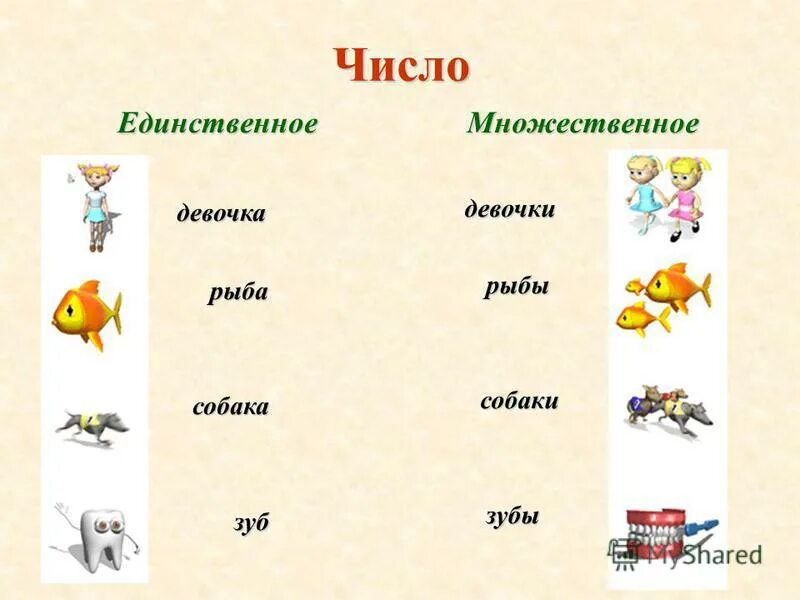 Единственное и множественное число картинки. Картинки единственное и множественное число для детей. Образование множественного числа существительных для дошкольников. Картинки единственное множественное число. Картинки единственное множественное число.