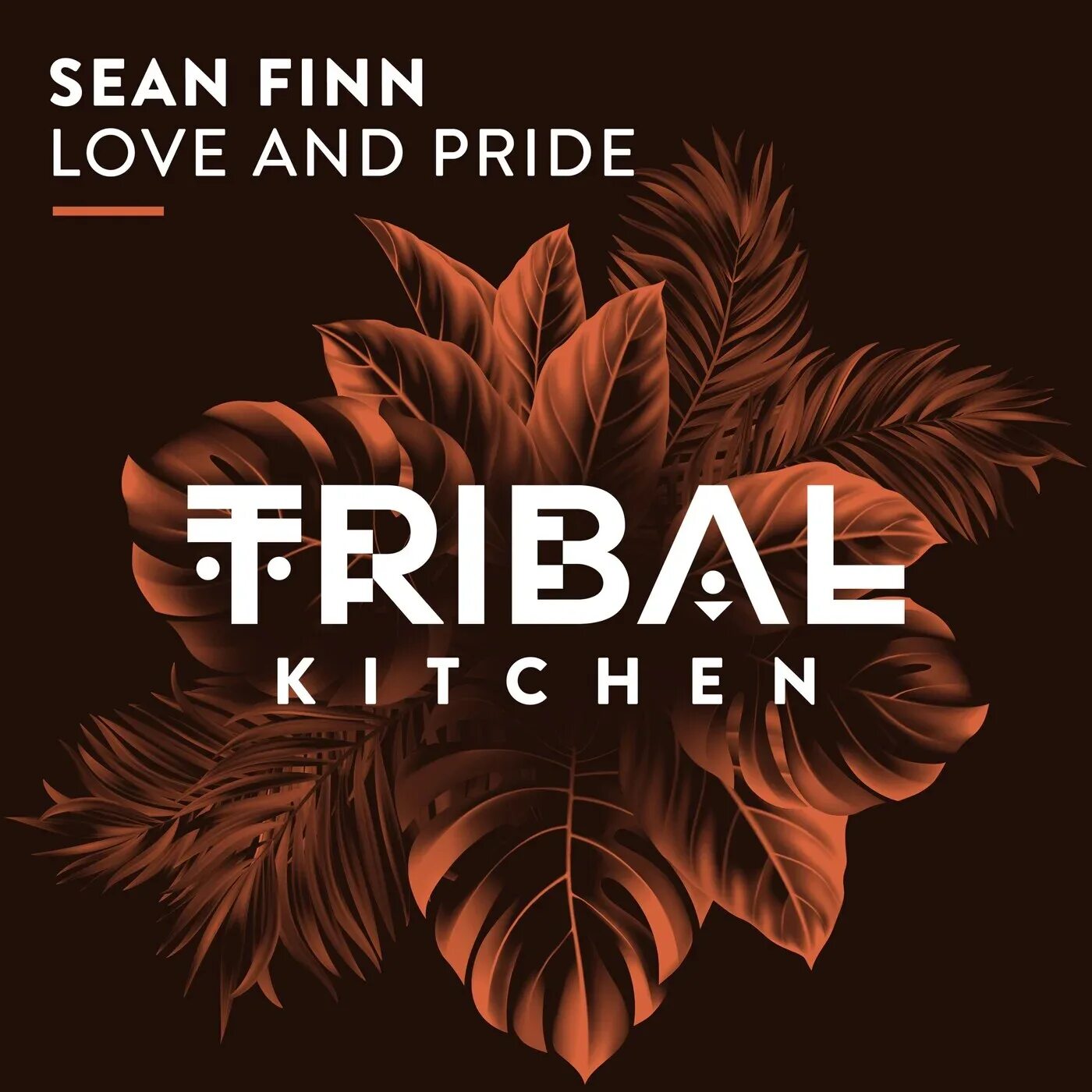 Feel the love go. Sean Finn. Sean Finn the Soundlovers Run away. Дип Хаус 2022. Sean Finn, Paul Jockey Dare me (Qubiko Remix).