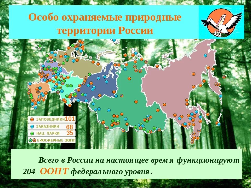 Заповедником называется территория