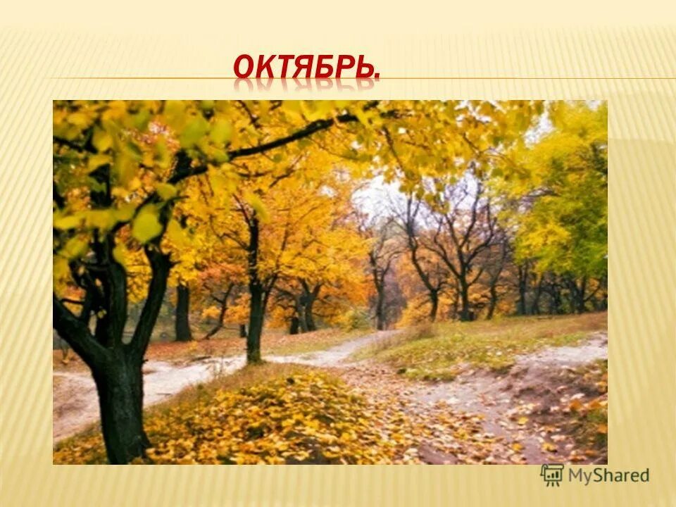 осенние дорожки текст