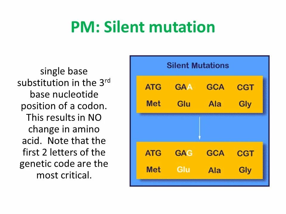 Global mutation. Silent Mutation. Сайлент мутация пример. Mutations под. Пример сайлент мутации у человека.