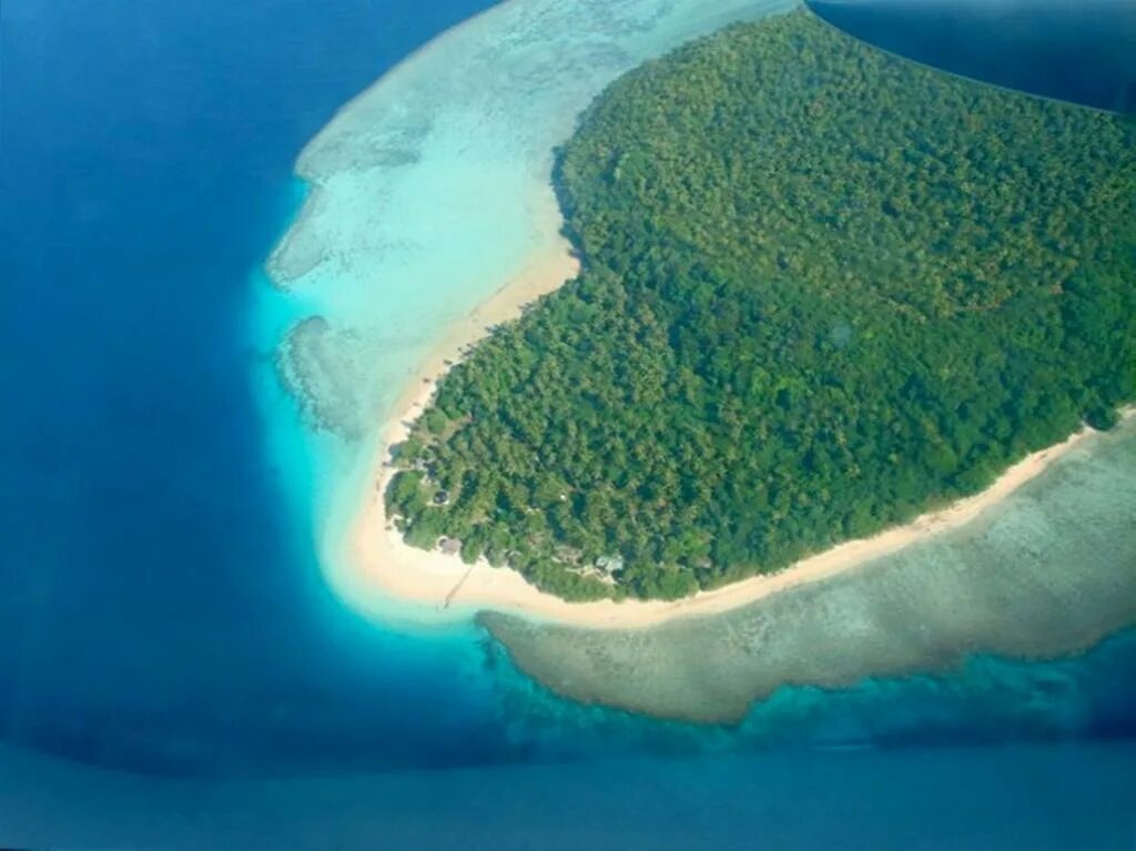 Тонга. Тонга фотографии. Тонга видео. Тонга видео. Тонга видео.