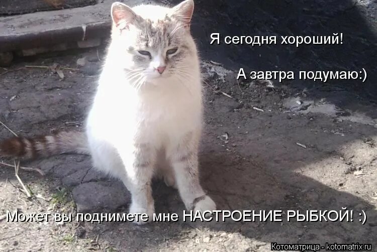 Как я могла такое подумать