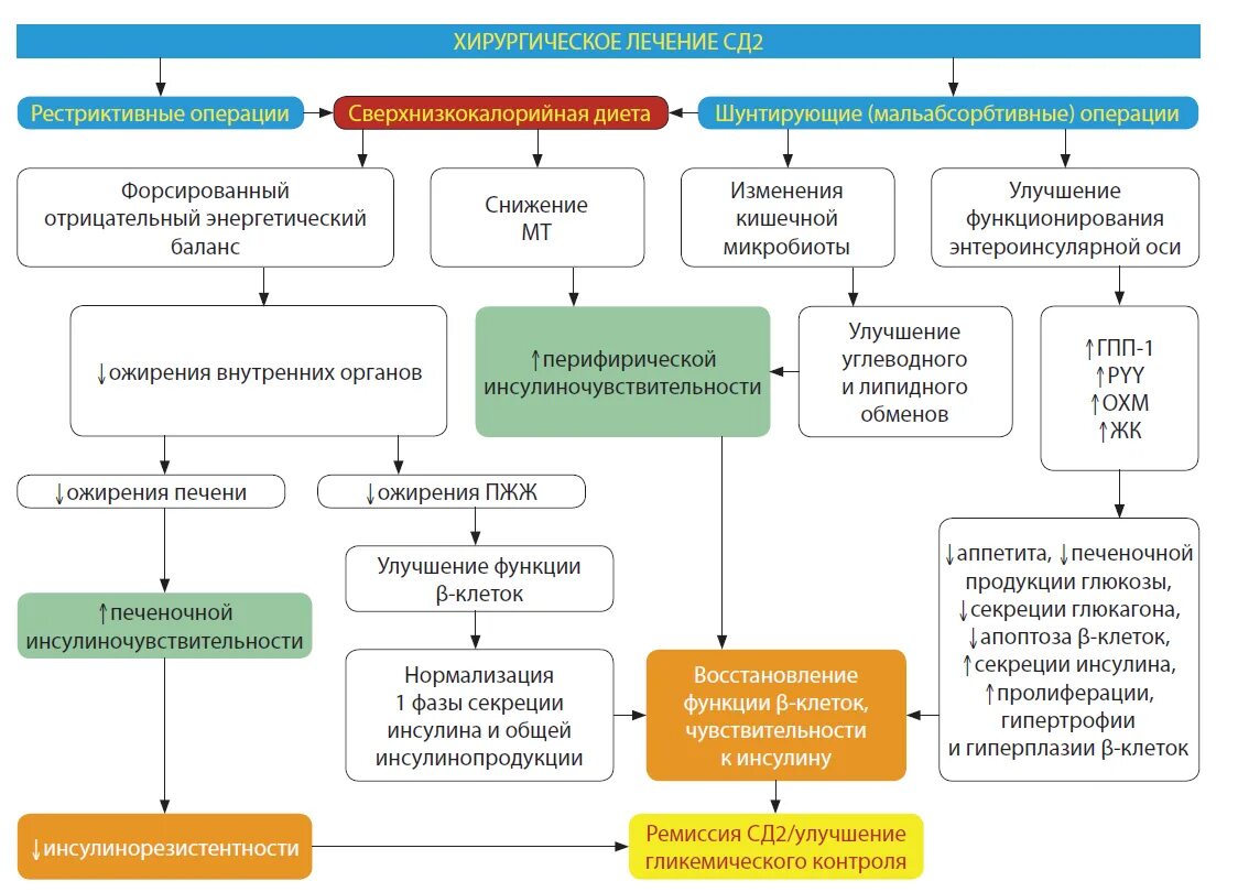Хирургический сахарный диабет. Хирургическое лечение сахарного диабета. Терапия при СД. Терапия при СД 2.