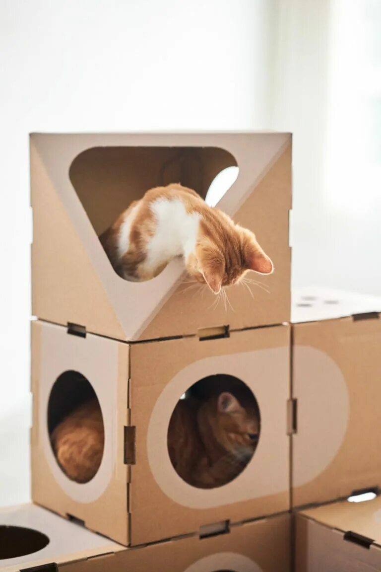 Картонный Лабиринт для кошек. Картонный домик для кошки. Коробка дом для кошки. Домики для котов из коробок.