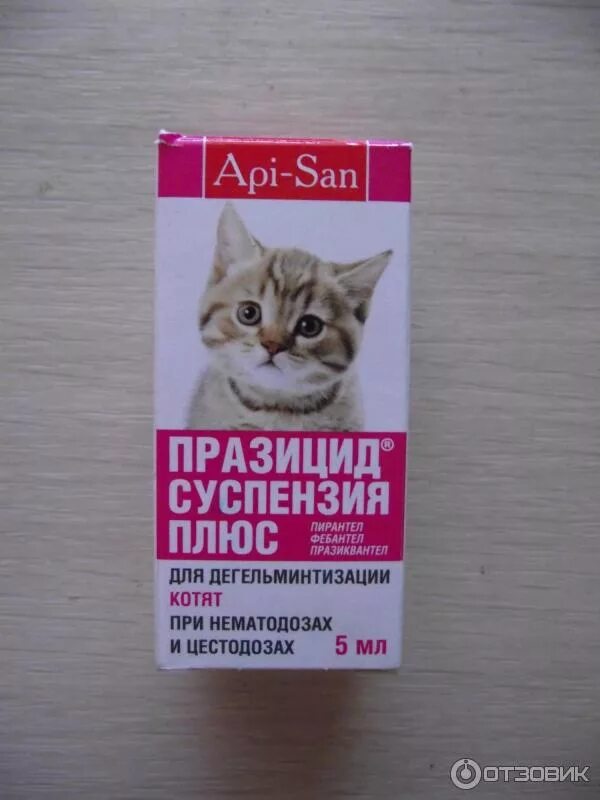 Когда котенку давать от глистов. Капли от глистов для котят 2 месяца. капли от глистов для котят 3 месяца. средство от глистов для котят 3 месяца. суспензия от глистов для котят 2 месяца.