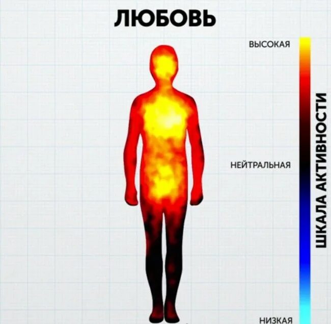 Где живут эмоции в теле