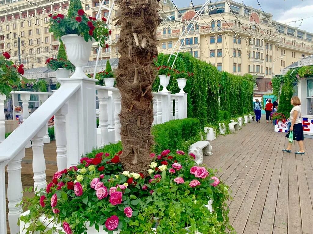 джем москва. джем москва. цветочный джем 2022 москва. цветочный джем зарядье. фестиваль цветочный джем в москве.