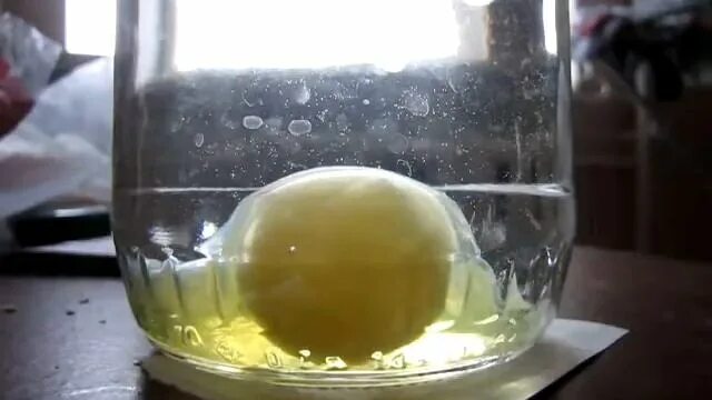 Что происходит с яйцом в воде