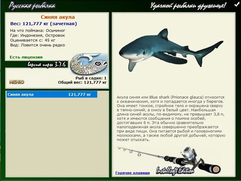 размер белой акулы в метрах большой. акула размеры и вес. белая акула размеры и вес. сколько весит большая акула. самая большая белая акула в мире.