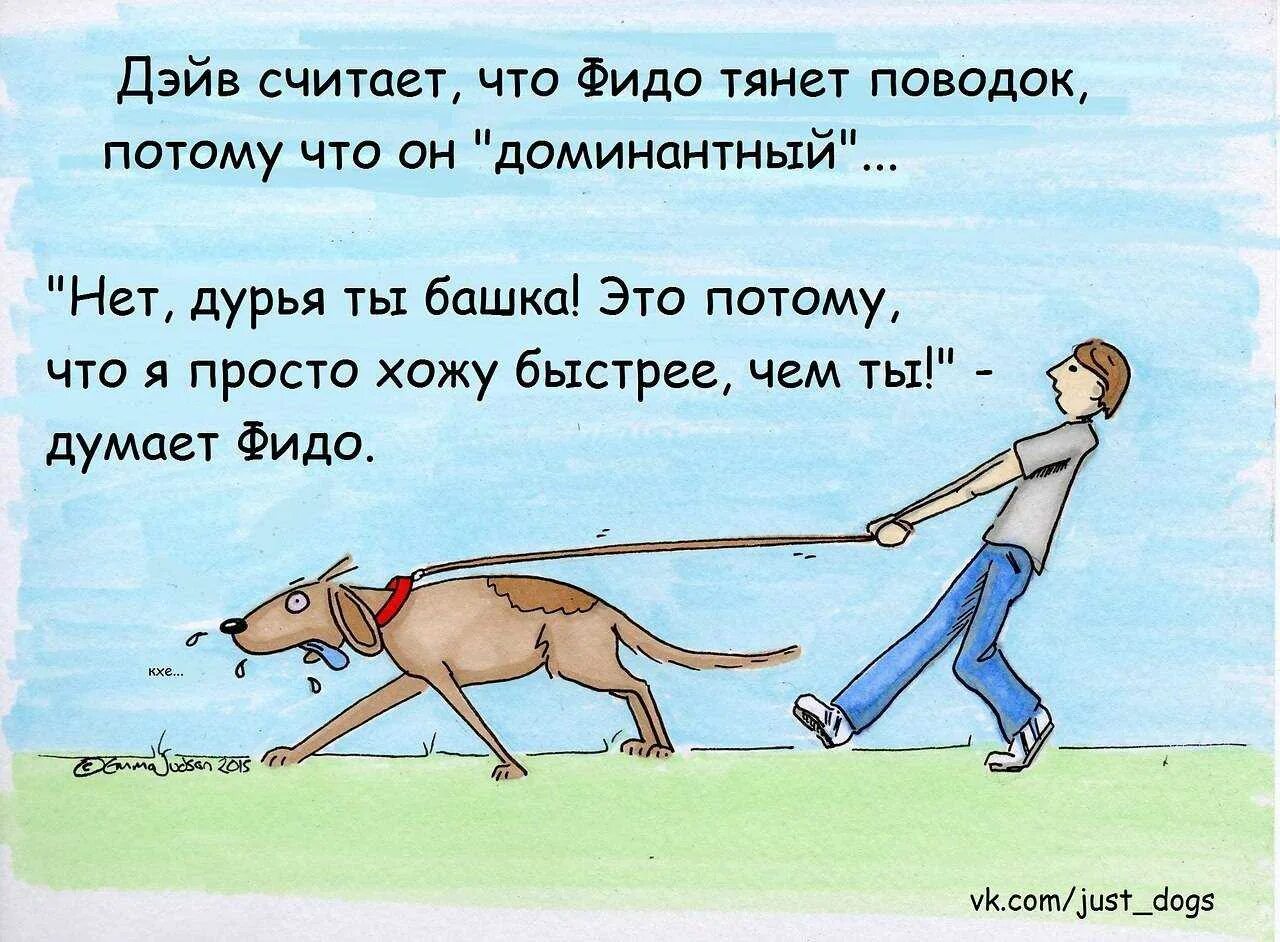 Почему тянет домой. Если тянет к человеку. Тяни родной хочу домой. Наклейка домой. Не тянись к человеку который не.