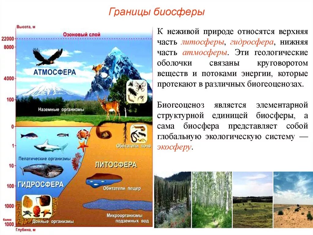 К воде в атмосфере относятся. Биосфера верхняя часть литосферы. Неживая природа. Вещества живой и неживой природы. Биосфера природа.