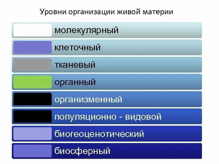 Элементы биологической системы начиная с наибольшего