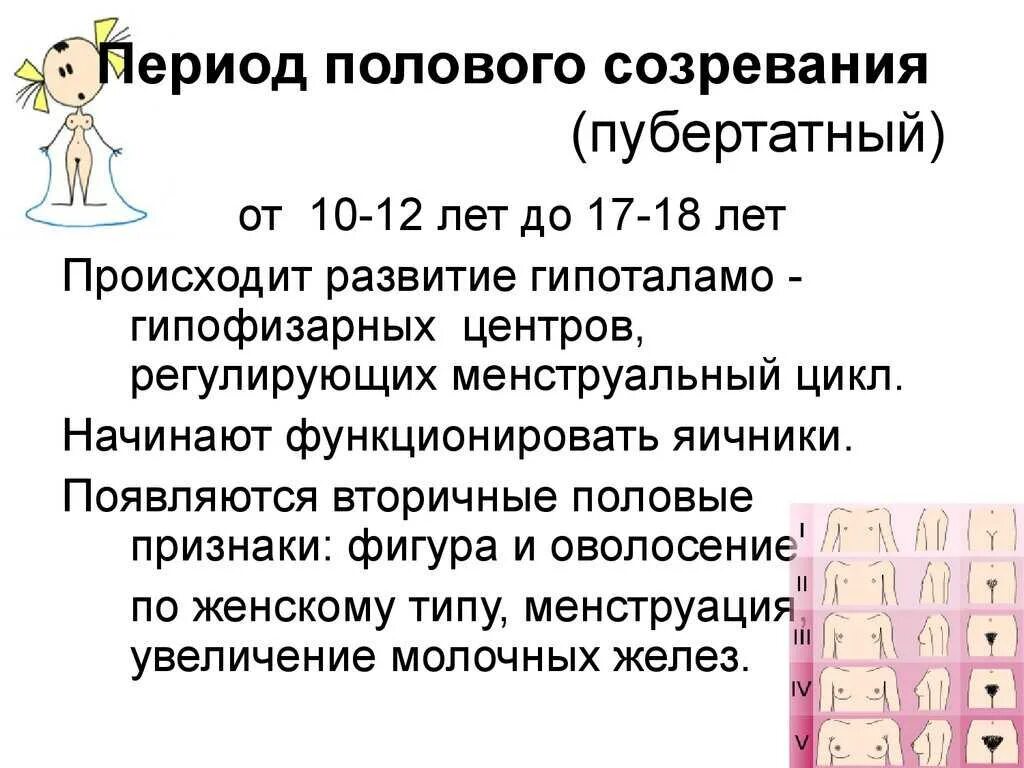 Переходный возраст в 11. Этапы полового развития девочки. Переходный Возраст у девочек. Период переходного возраста у девочек. Переходный Возраст у девочек Возраст.